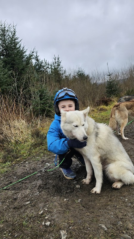Mynydd Sleddog Adventures photo 3