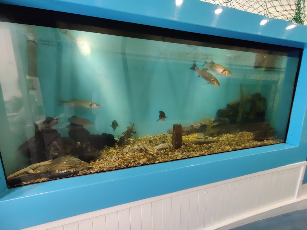Marine Aquarium photo 2