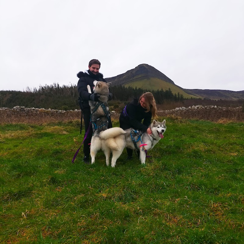 Faerietrail's Siberian Husky