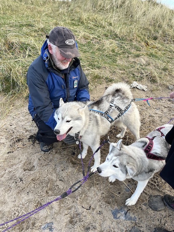 Faerietrail's Siberian Husky photo 2