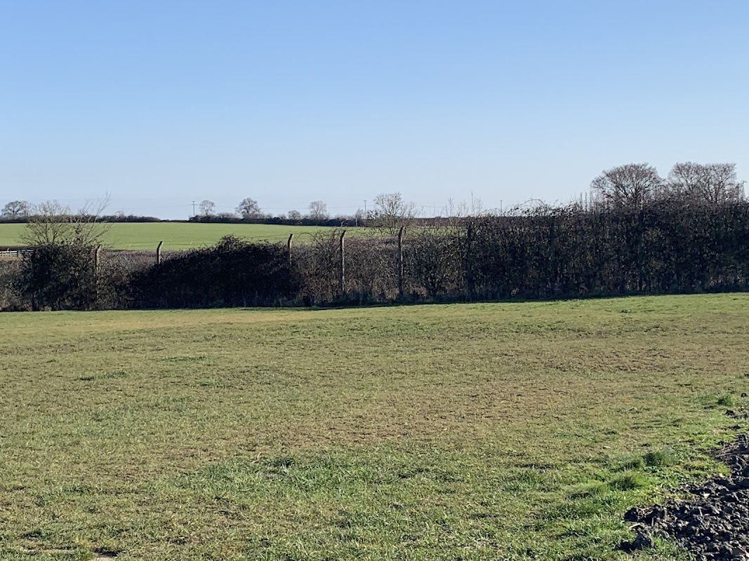 Rachel’s Happy Hounds Secure Secure Exercise Field