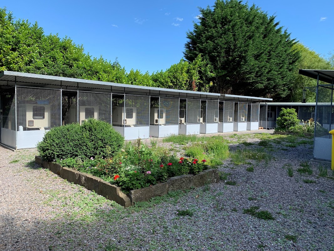 Nutley Farm Cattery
