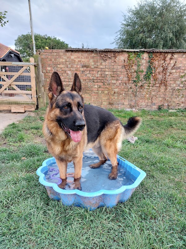 Roundhouse Kennels