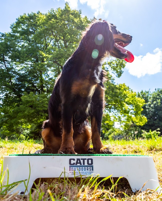 A.L.E Gundogs photo 2