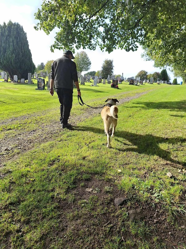Levernbank Kennels