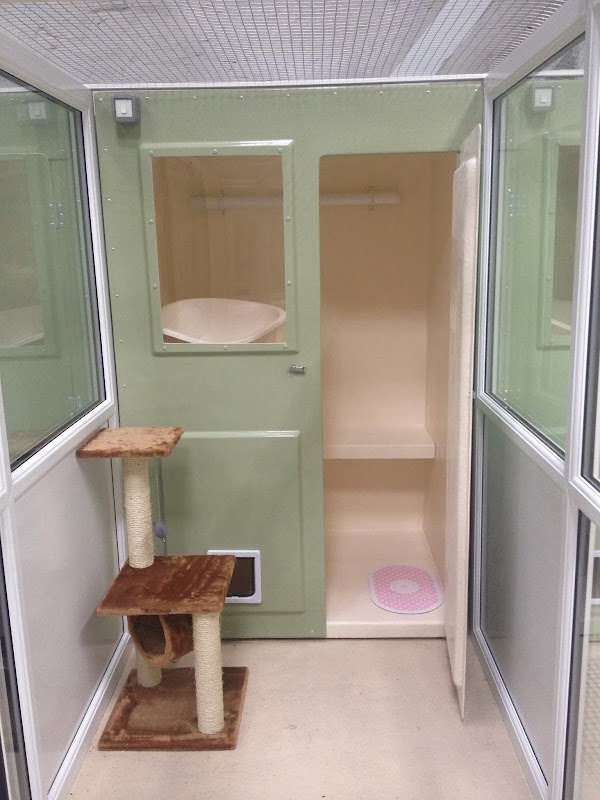 Kelcliffe Cattery photo 2