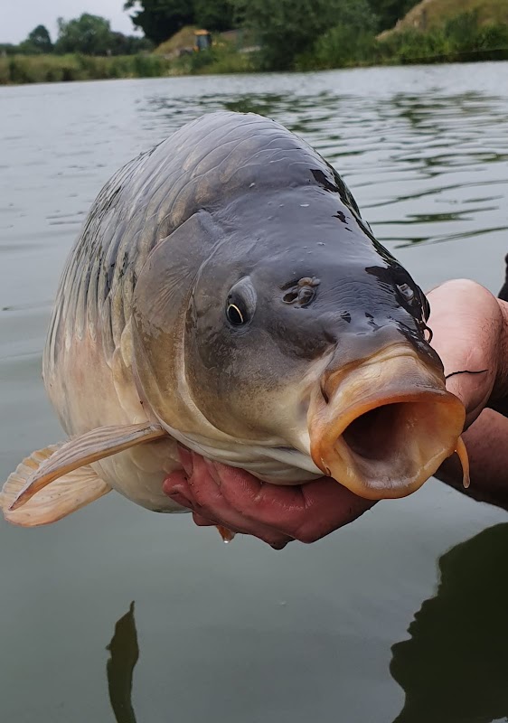 Quintons Orchard Fish Farm photo 3