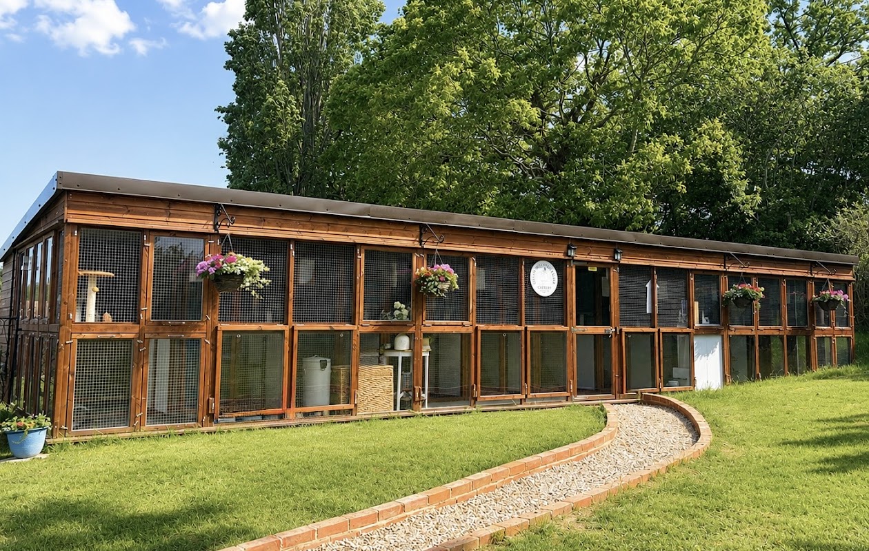 Haysden Country Cattery