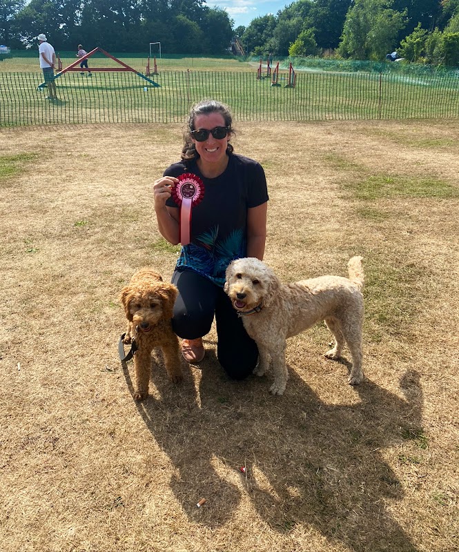 Pro Dog School