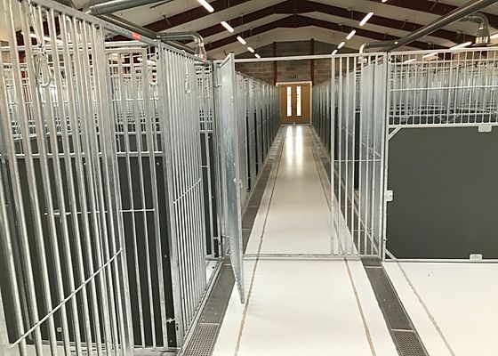Brodie Kennels photo 2