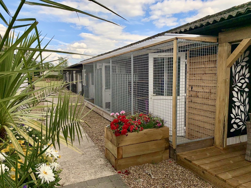 Bodiam Farm Cattery photo 2