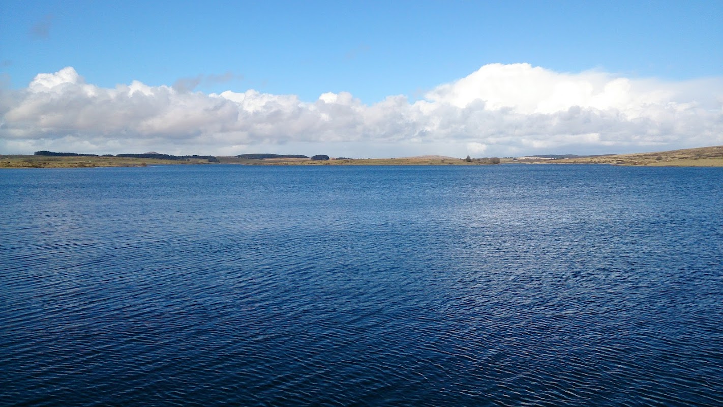 Colliford Salmon Hatchery photo 1