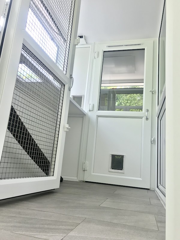Meow Manor Cattery photo 2