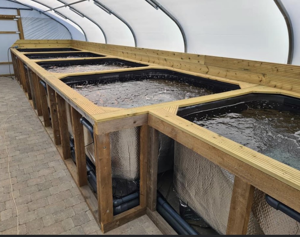 Woodlands Koi Farm