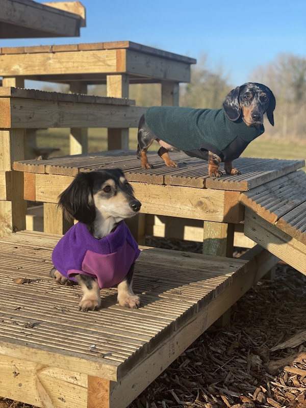 Chic Pup Co. Ltd photo 1