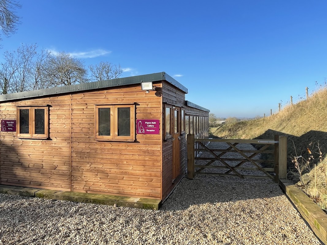 Pipers Bath Cattery photo 3