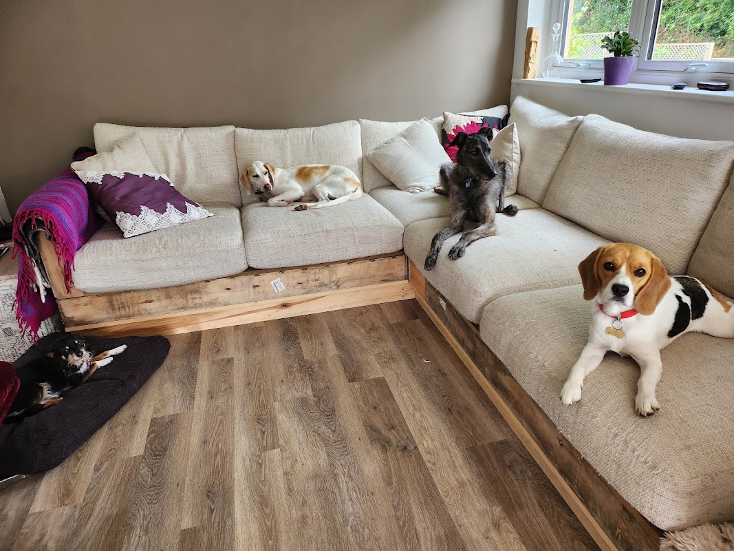 The Dog House photo 1