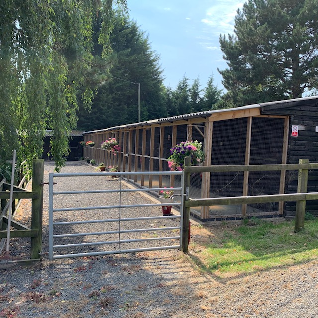 Kingston Cattery