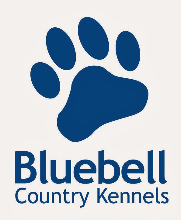 Bluebell Country Kennels photo 2