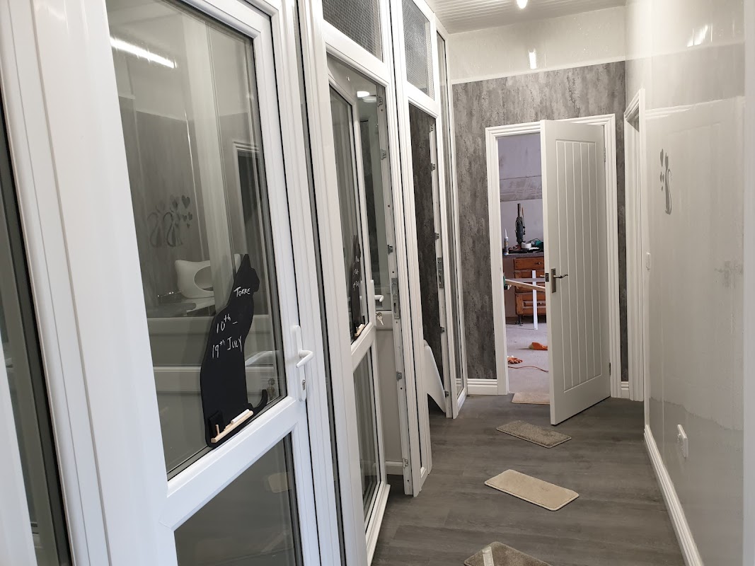 Sheerbliss Cattery