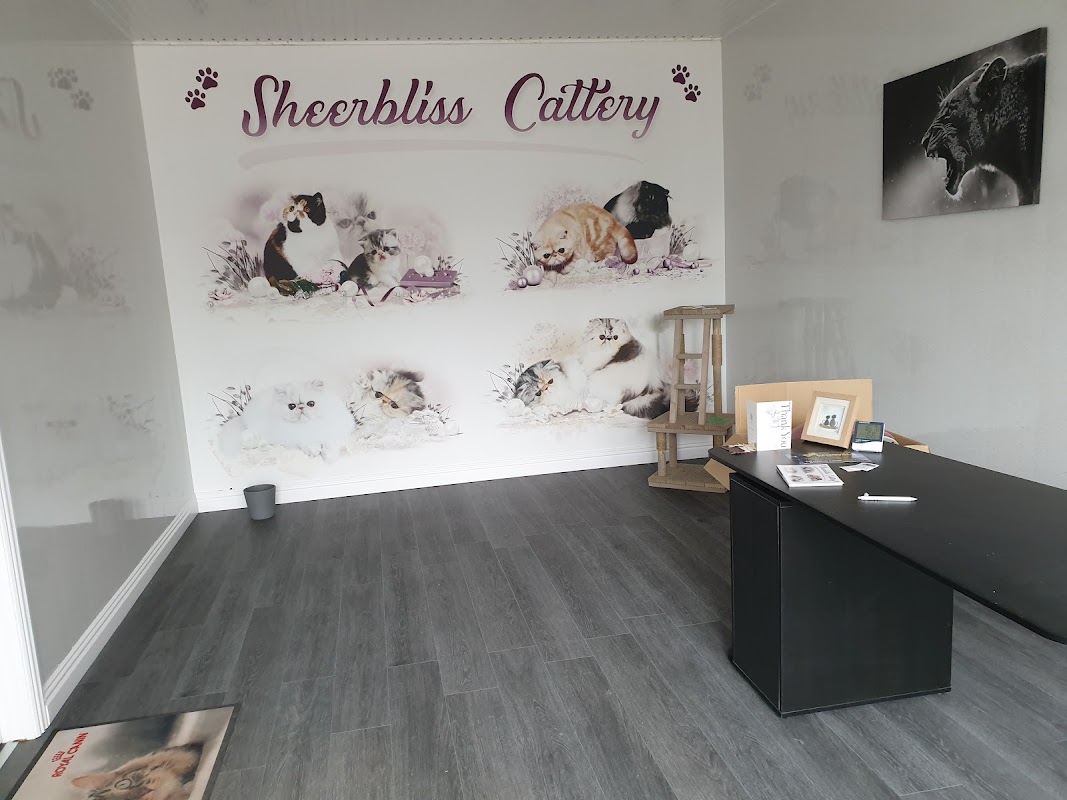 Sheerbliss Cattery photo 1