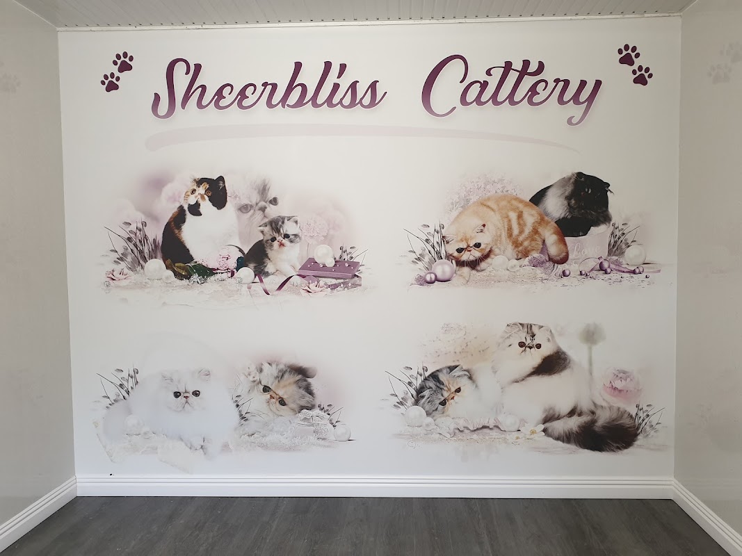 Sheerbliss Cattery photo 2