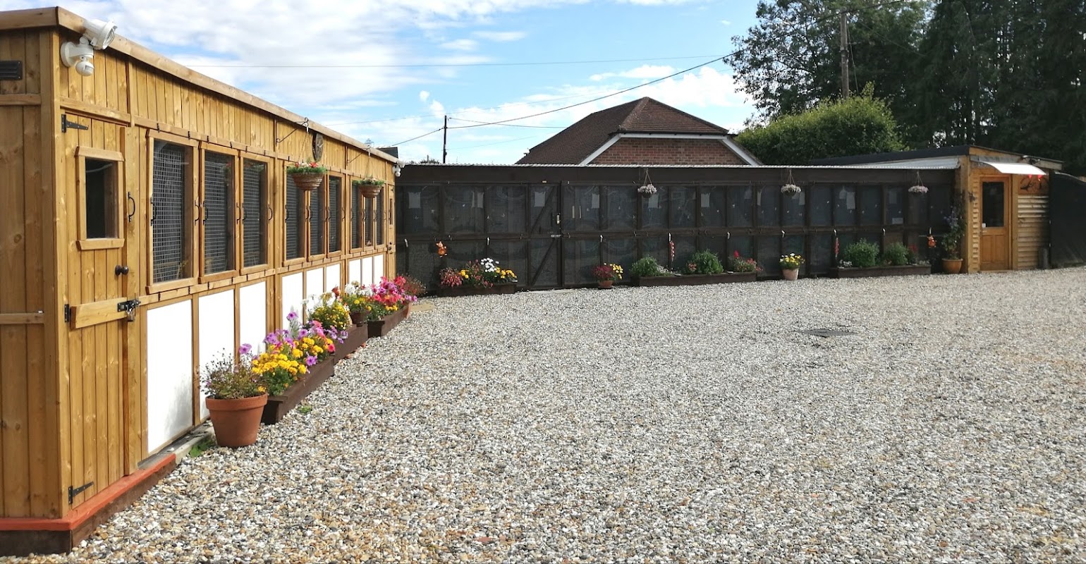 Charlie's Cattery