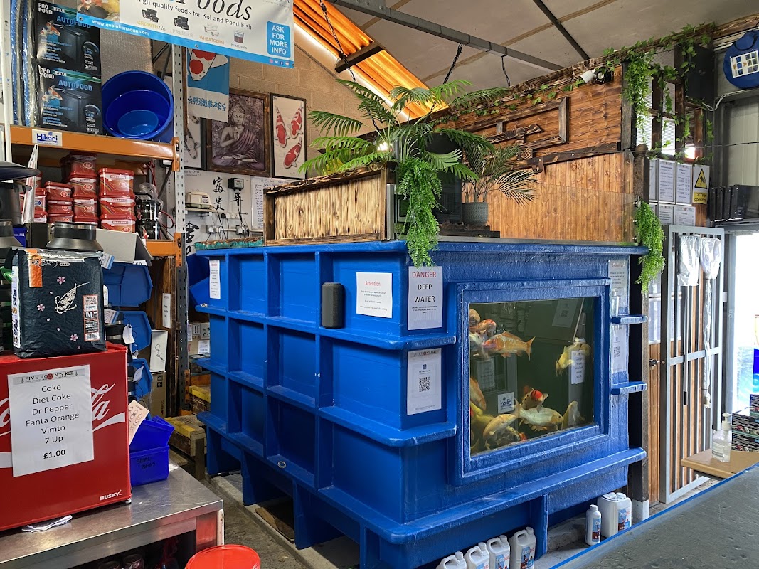 Five Towns Koi Ltd photo 3