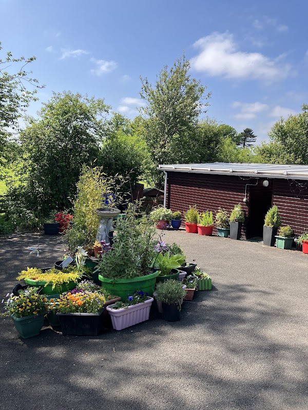 South Lodge Cattery
