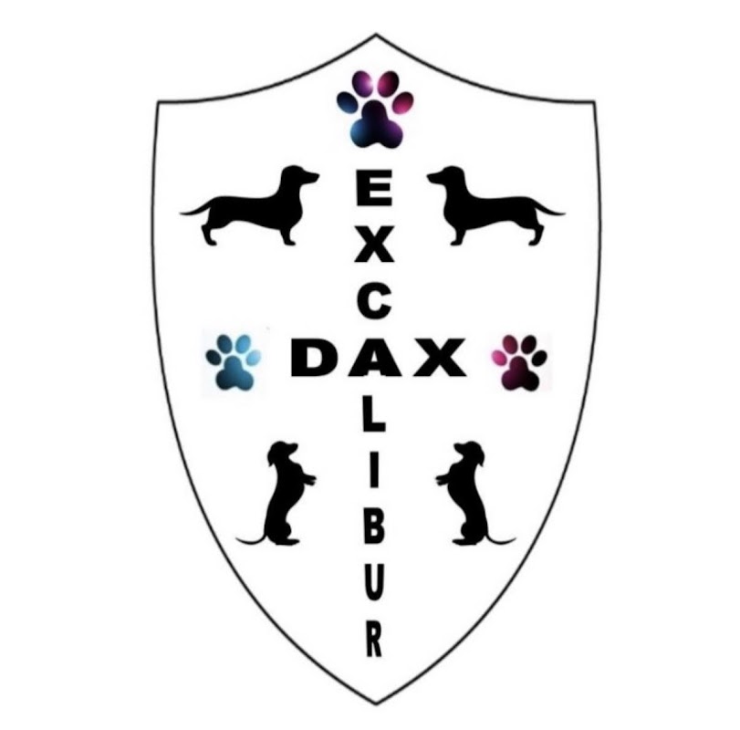 ExcaliburDax Miniature Dachshunds