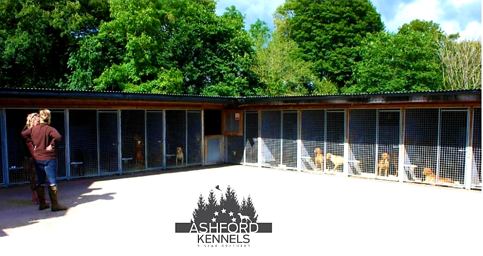 Ashford Kennels- Shropshire