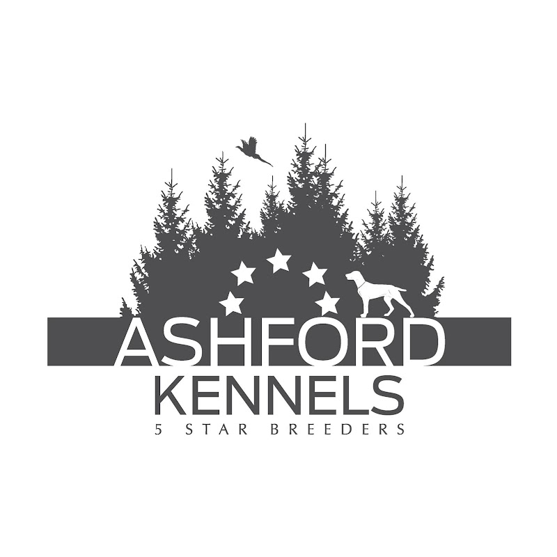 Ashford Kennels- Shropshire photo 2