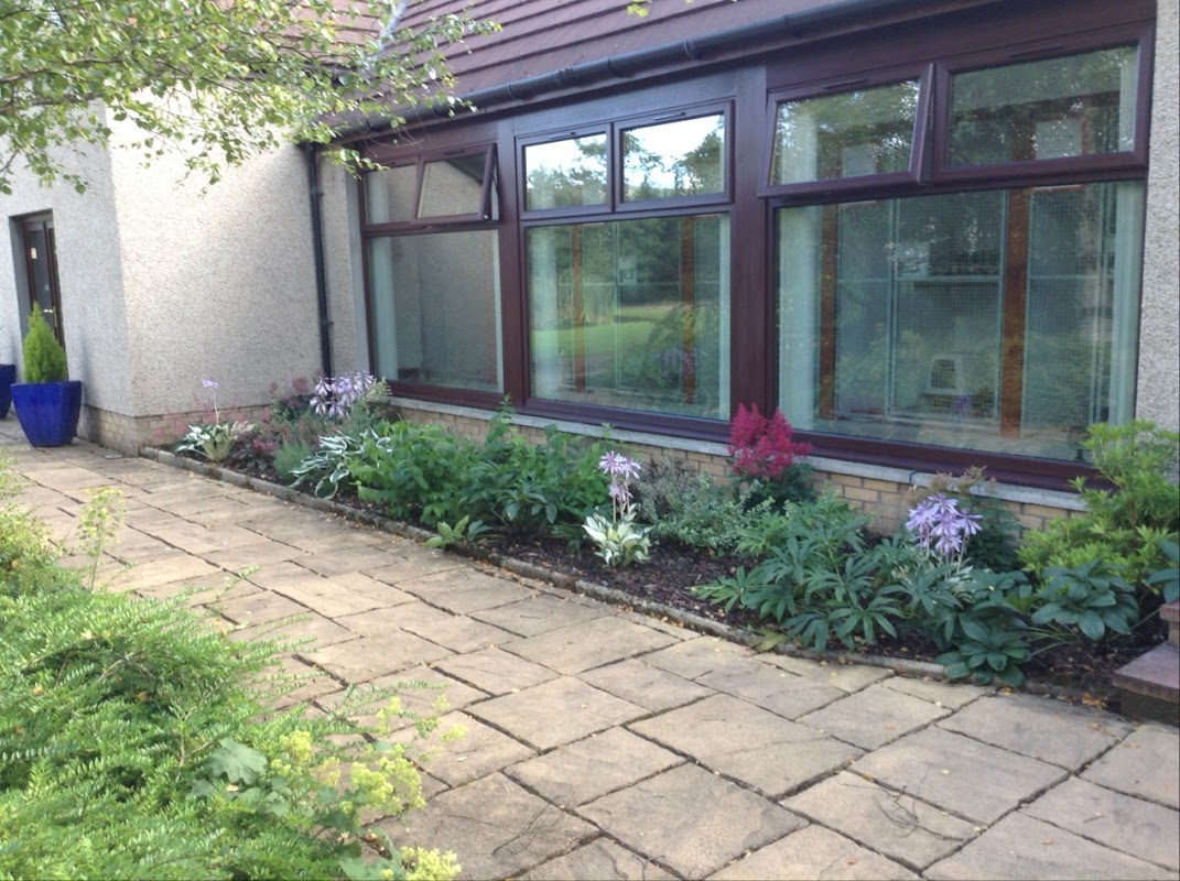 Adam's Purrfect Cattery photo 2
