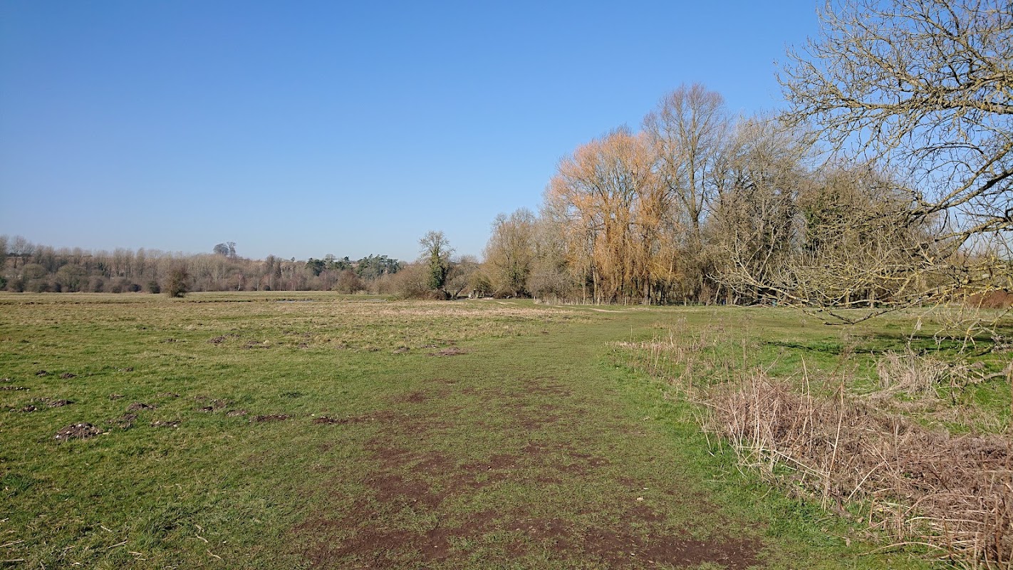 Golden Pond Fishery photo 2