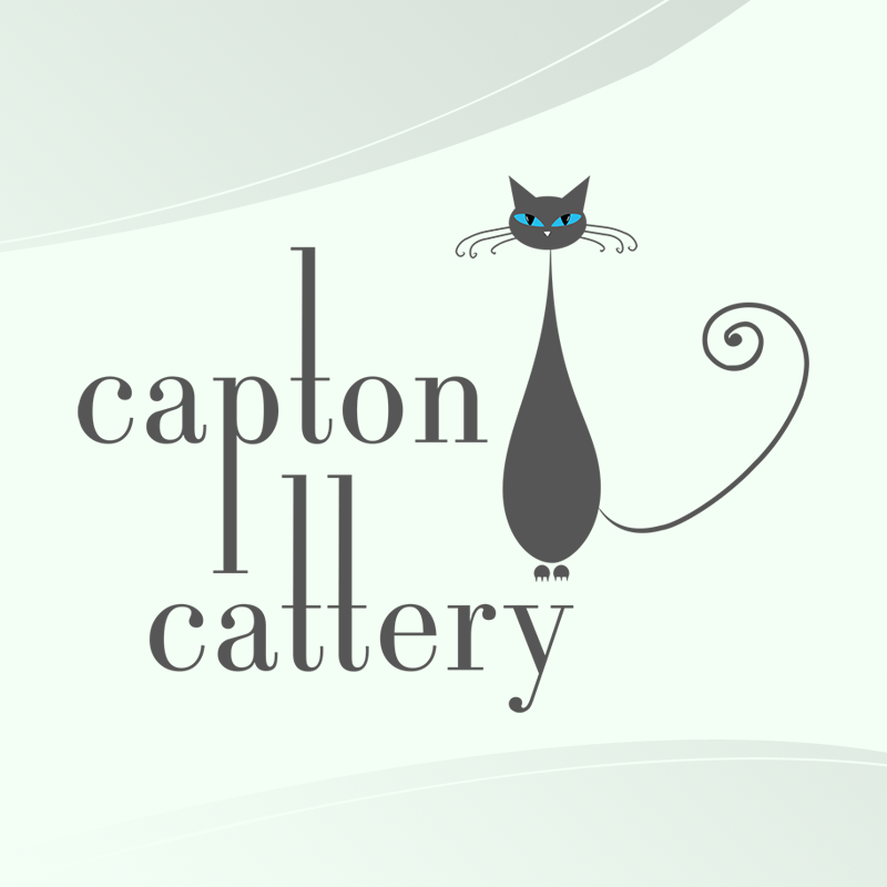 Capton Cattery photo 1