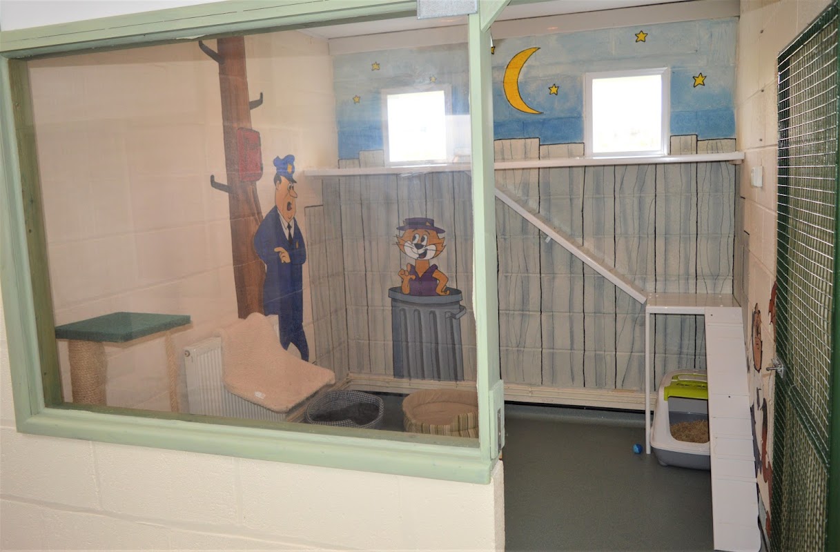Coppergate Kennels Ltd photo 3