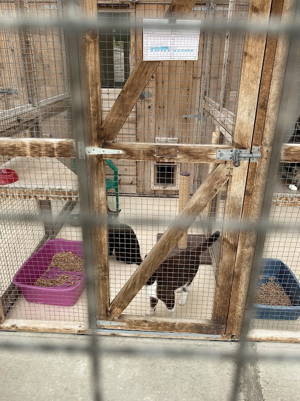 Leafy Oak Farm Cattery photo 2