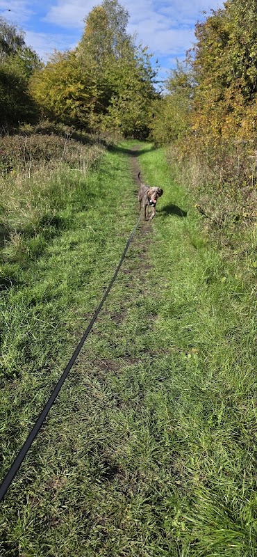 Happy Hound Haven photo 1