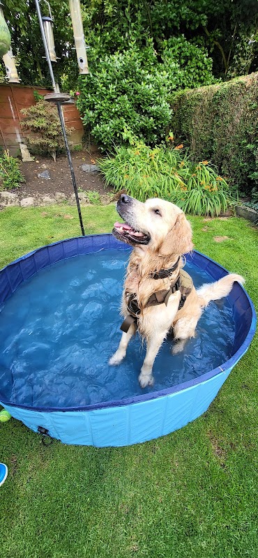 Happy Hound Haven photo 2