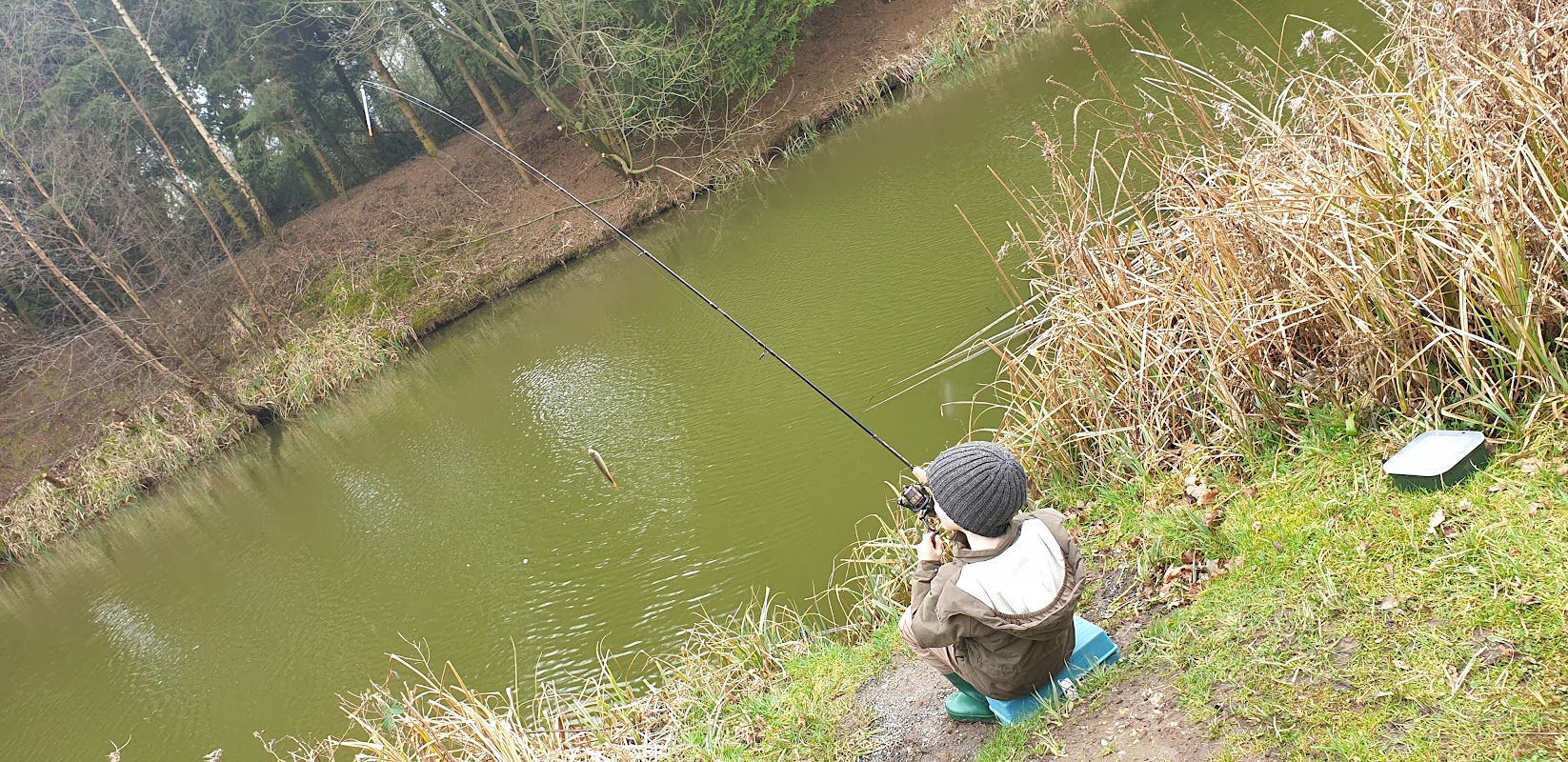 Attleborough Fish Farm photo 2