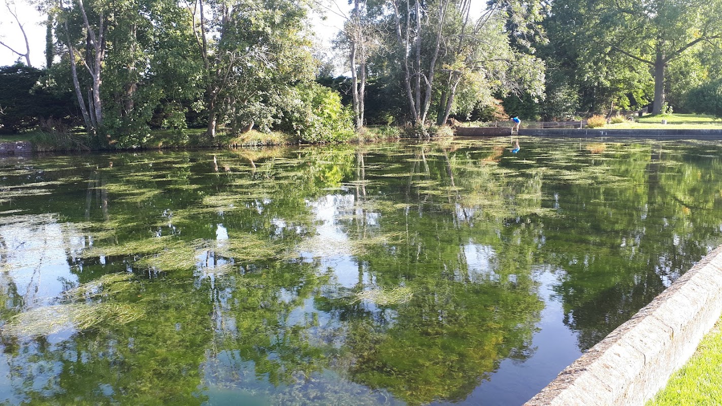 Northbrook Fish Farm photo 3