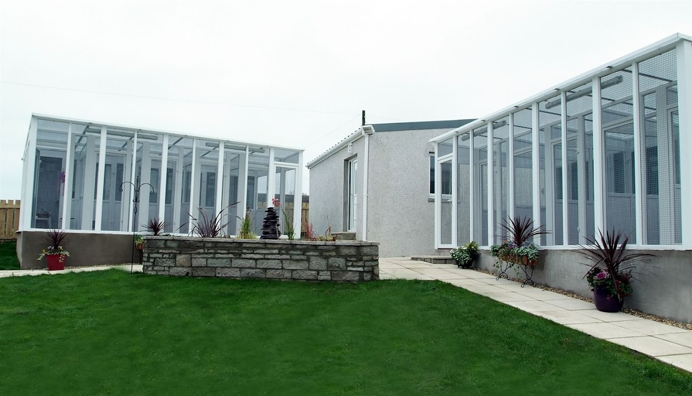 Crooklands Cattery