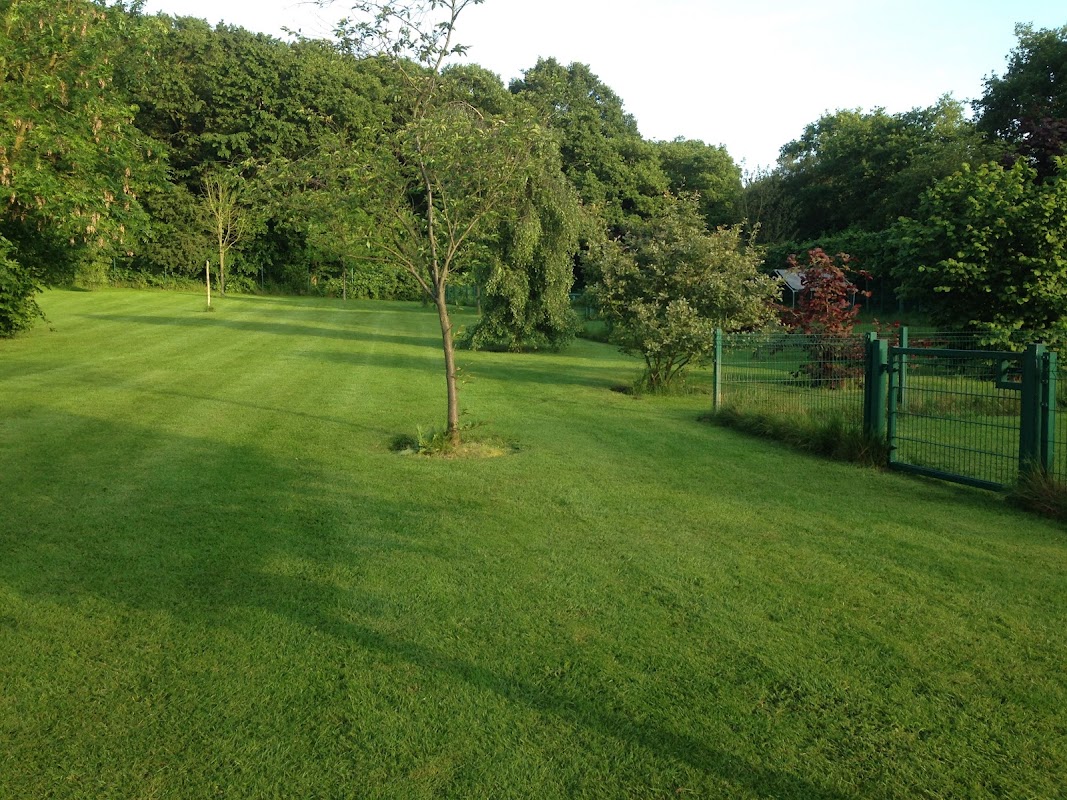 Beeches Farm Kennels photo 3
