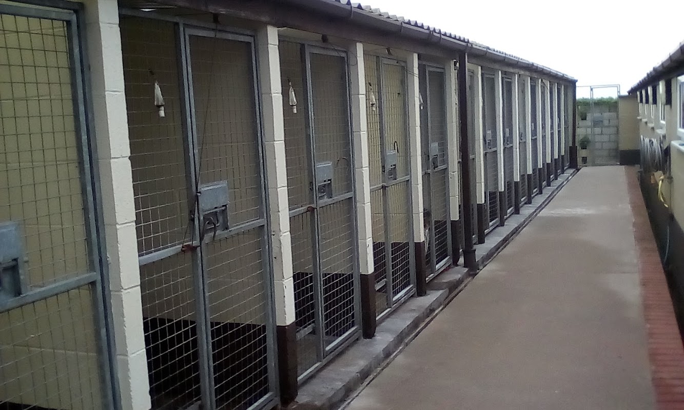 Hardiwick Kennels photo 3