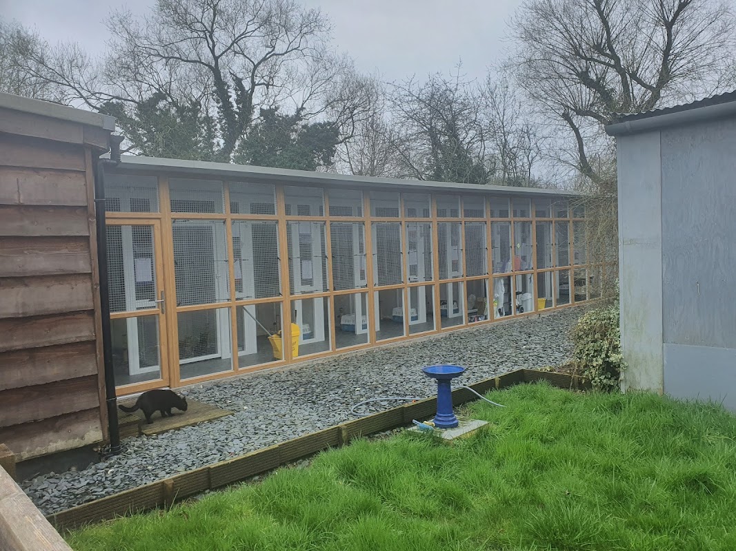Goulds Green Cattery