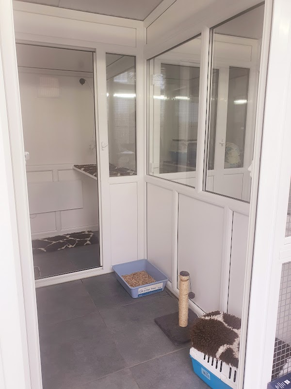 Goulds Green Cattery photo 1
