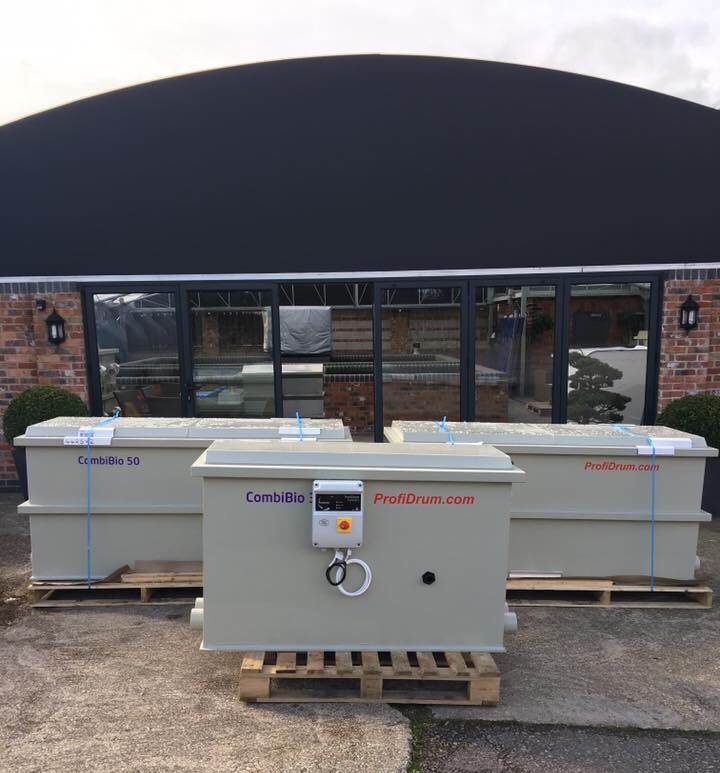 Absolute Koi Ltd