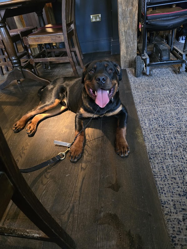 Empire Dogs photo 2
