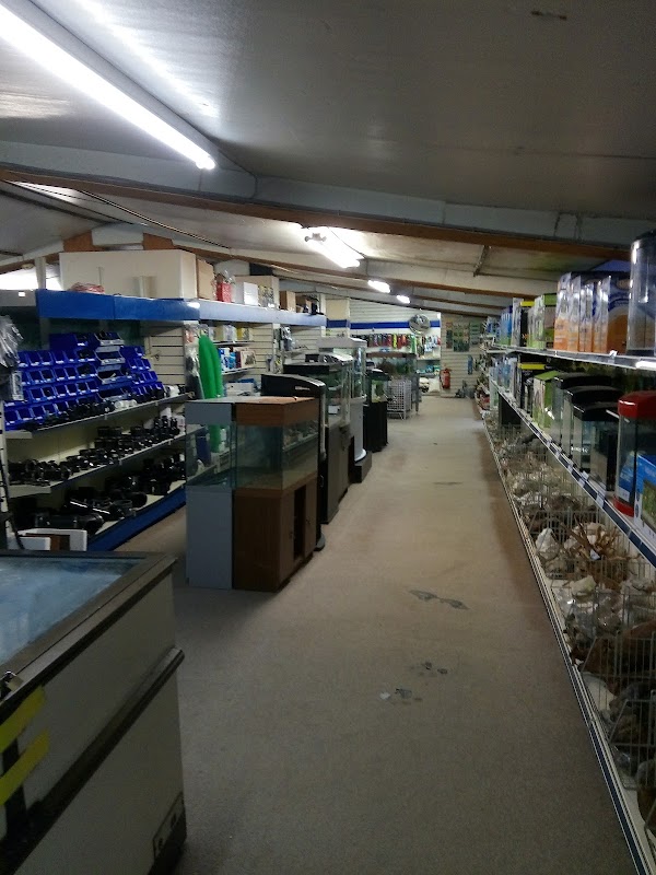 Ornamental Fishfarm photo 2