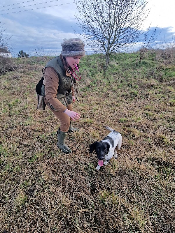 Racomitrium Gundogs photo 1